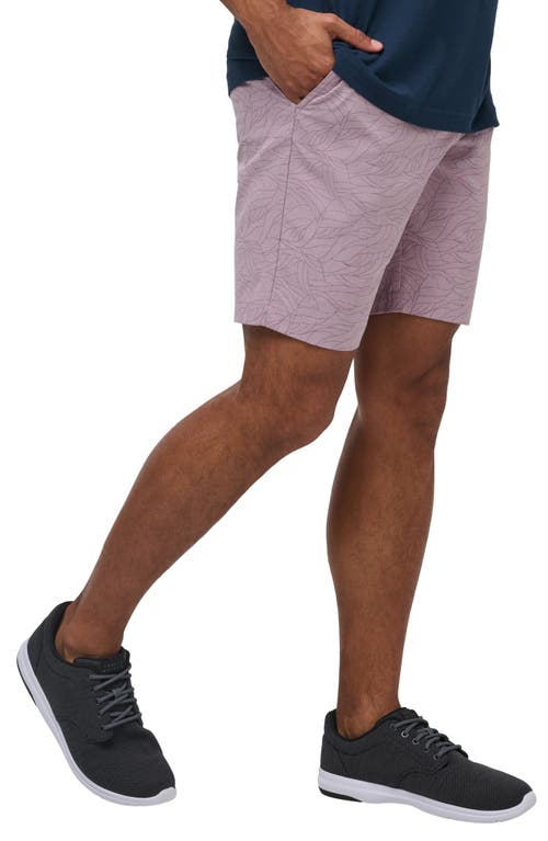 Shop Travismathew Guiding Lights Shorts In Elderberry