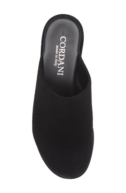 Cordani Jules Platform Mule In Black Suede