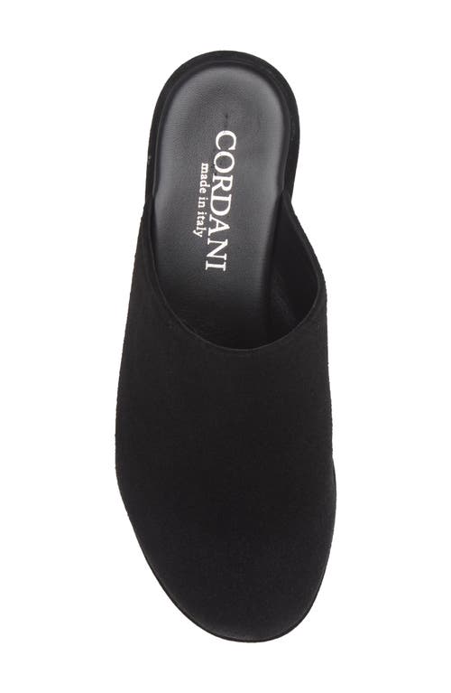 Shop Cordani Jules Platform Mule In Black Suede