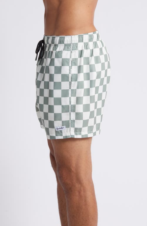 Boardies Nico Checkerboard Swim Trunks In Green/cream
