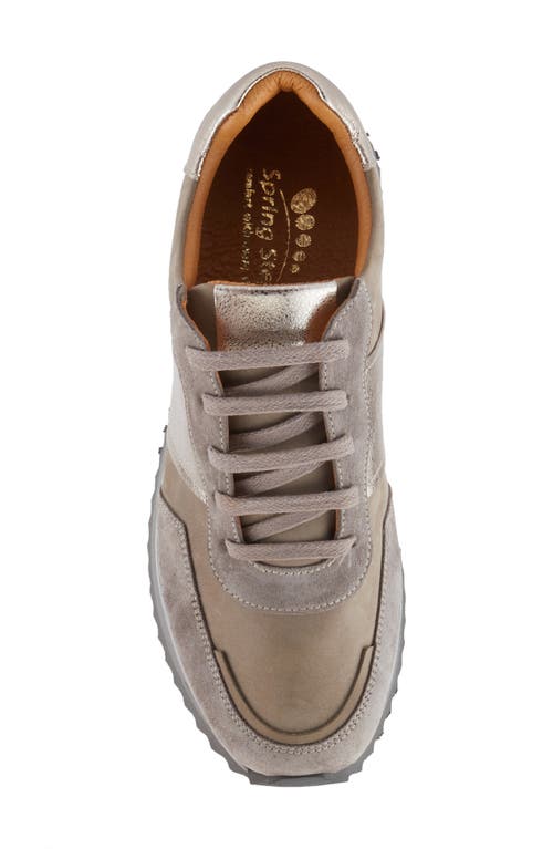 Spring Step Compter Sneaker In Grey Suede