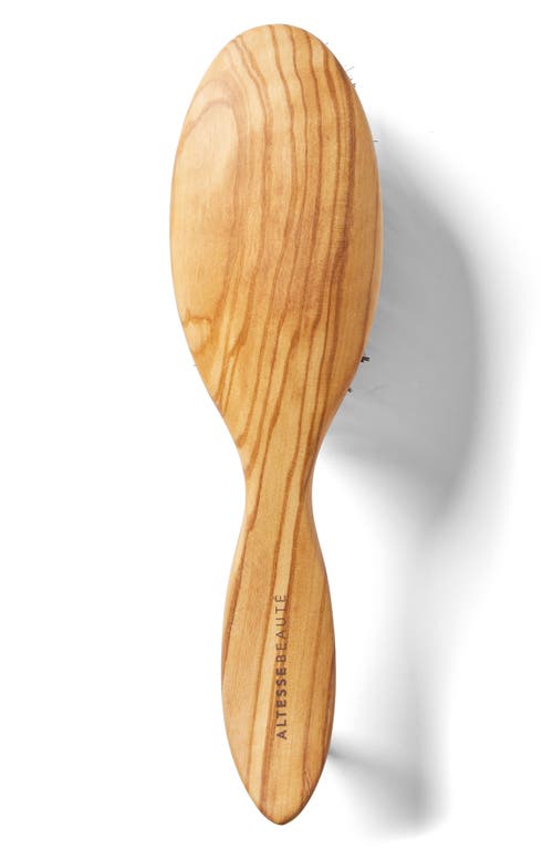 Altesse Studio Beaute Petite Repair & Shine Brush For Fine To Medium Hair In No Color