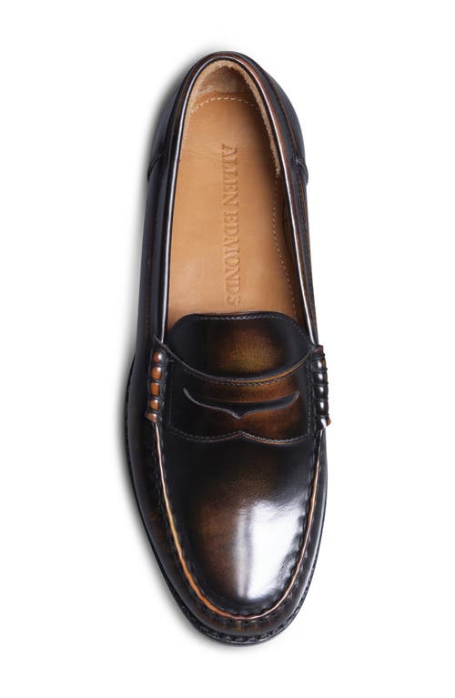 Allen Edmonds Newman Penny Loafer In Antique Bronze