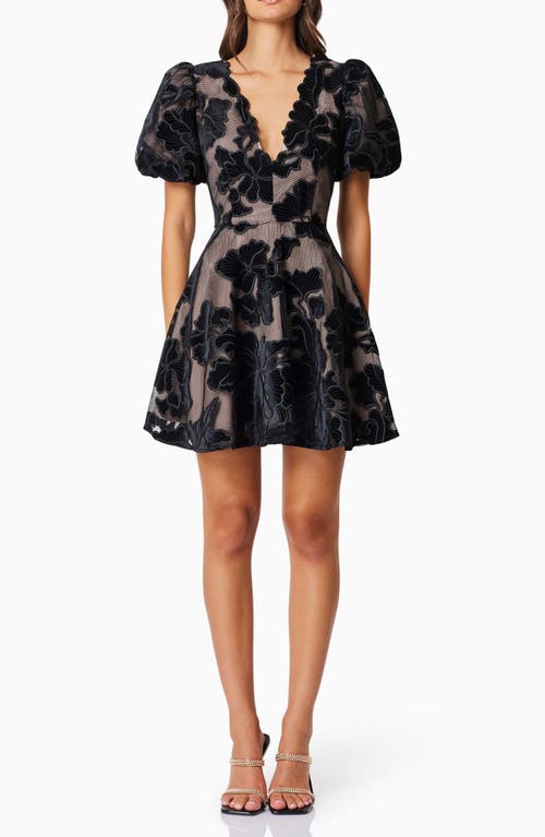 Elliatt Zara Flower Appliqué Fit & Flare Minidress in Black 