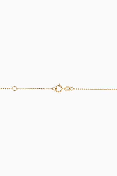 Oradina Women's 14k Yellow Gold Amarena Cherry Studs In Yellow Gold