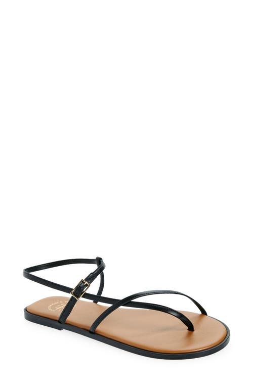 Shop Atp Atelier Capri Ankle Strap Sandal In Black