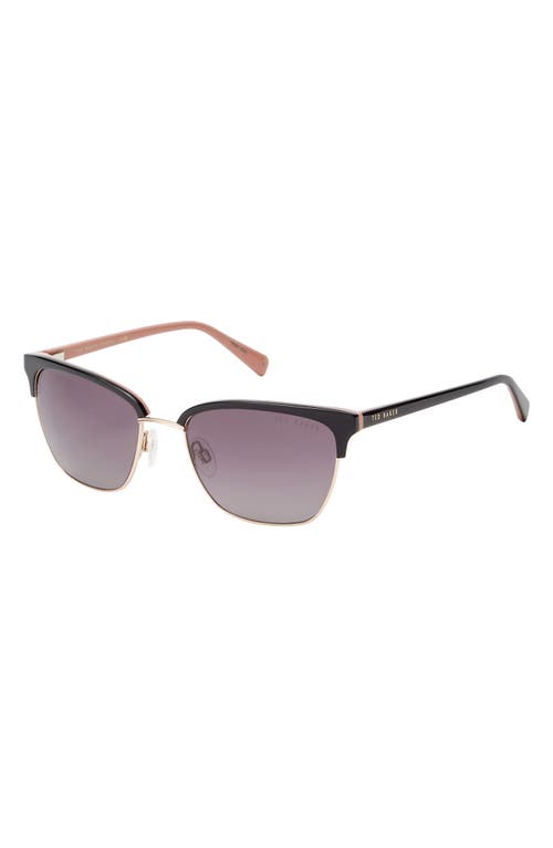 Ted Baker London Full Rim Browline Sunglasses In Black