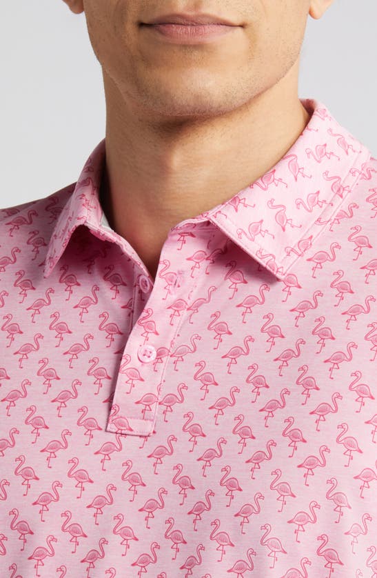 Shop Johnston & Murphy Xc4® Flamingo Print Performance Golf Polo In Pink