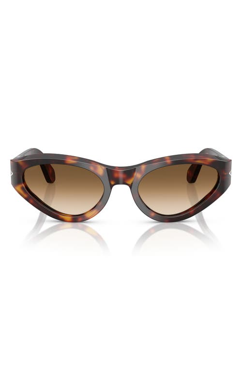 Persol 53mm Polarized Butterfly Sunglasses In Gold