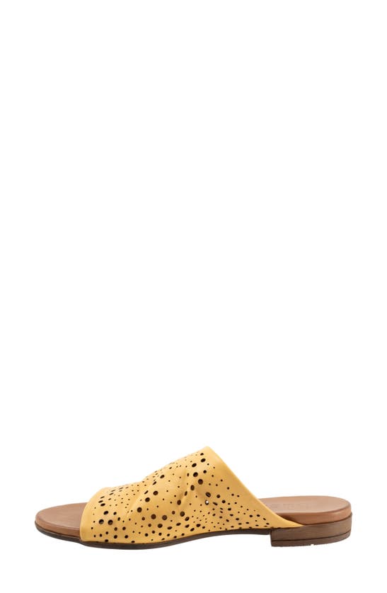 Shop Bueno Turner Perforated Slide Sandal In Mustard