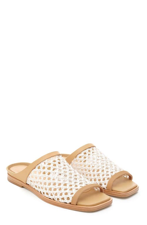 Shop Daniella Shevel Alba Sandal In White