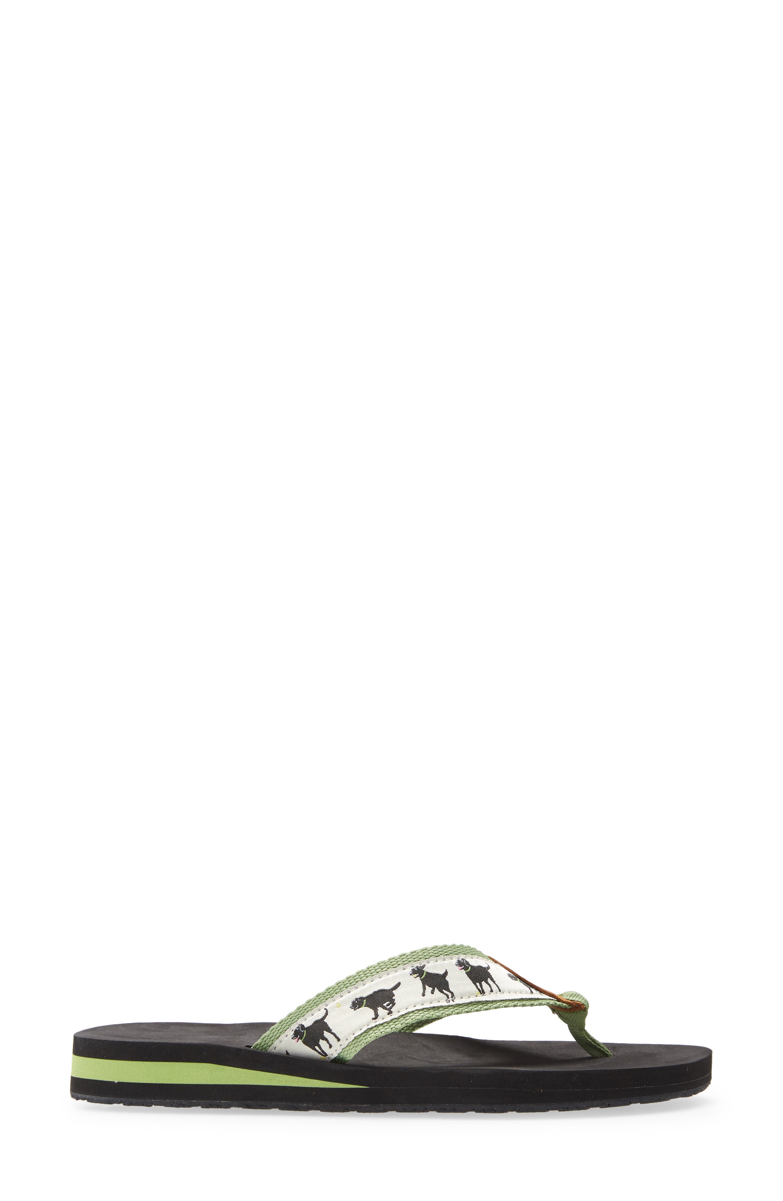 ll bean dog flip flops