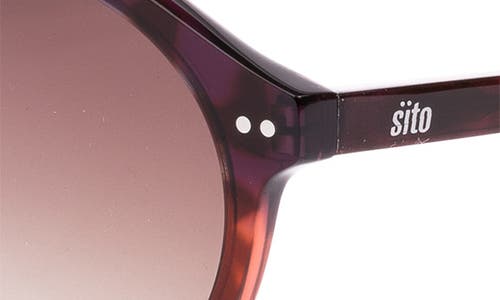 Shop Sito Shades Dixon 52mm Gradient Standard Round Sunglasses In Rosewood Tort/rose Gradient