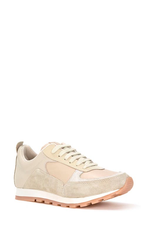 Paige Sneaker in Taupe Multi