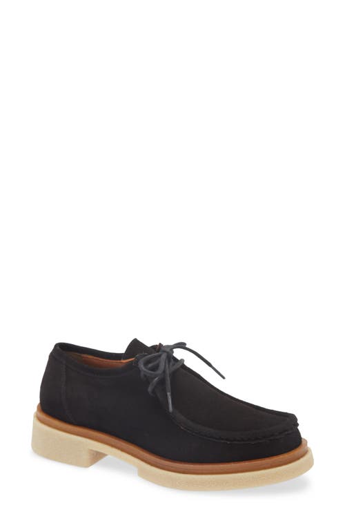 Cordani Maya Chukka Derby In Camoscio Nero
