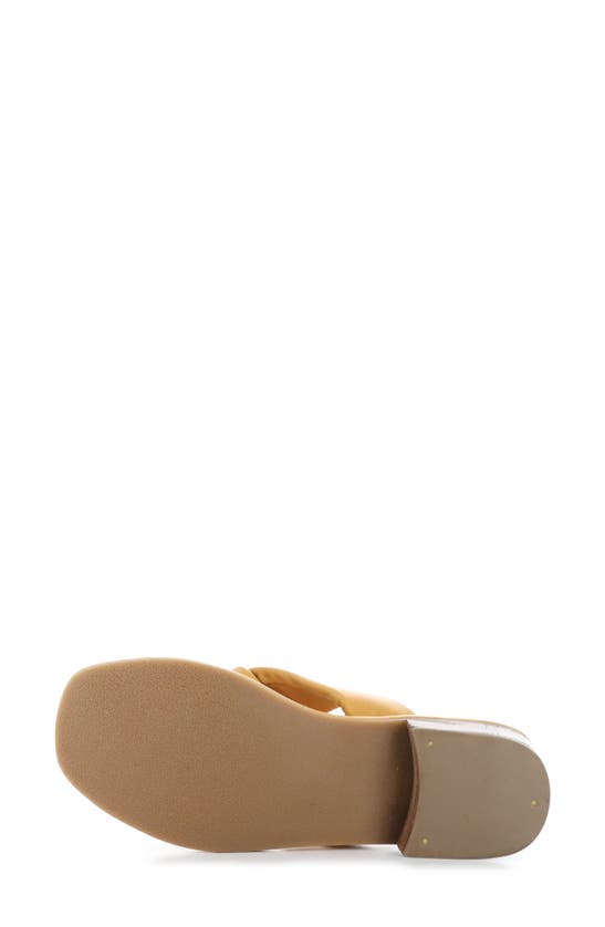 Shop Bos. & Co. Knick Slide Sandal In Mustard Nappa