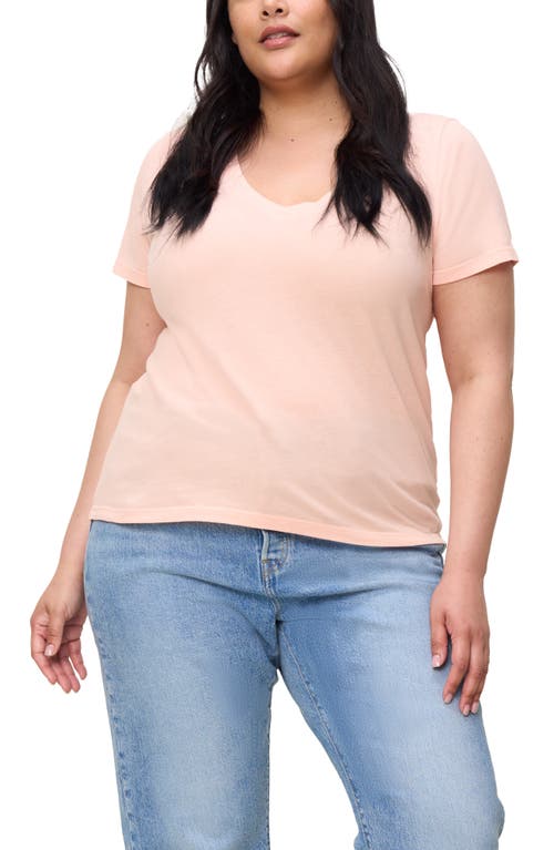 Shop The Standard Stitch The V Neck Tee In Peach