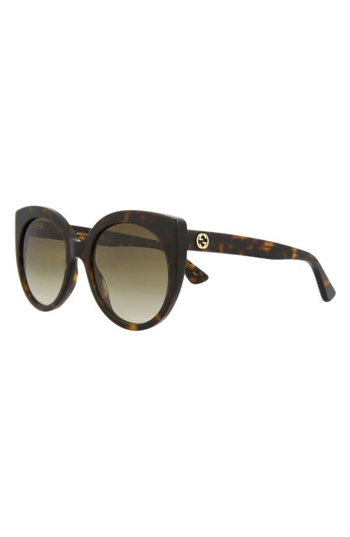 Gucci 55mm Gradient Cat Eye Sunglasses In Havana Havana Brown