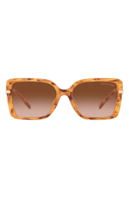 Michael Kors Castellina 55mm Gradient Square Sunglasses in Dark Brown