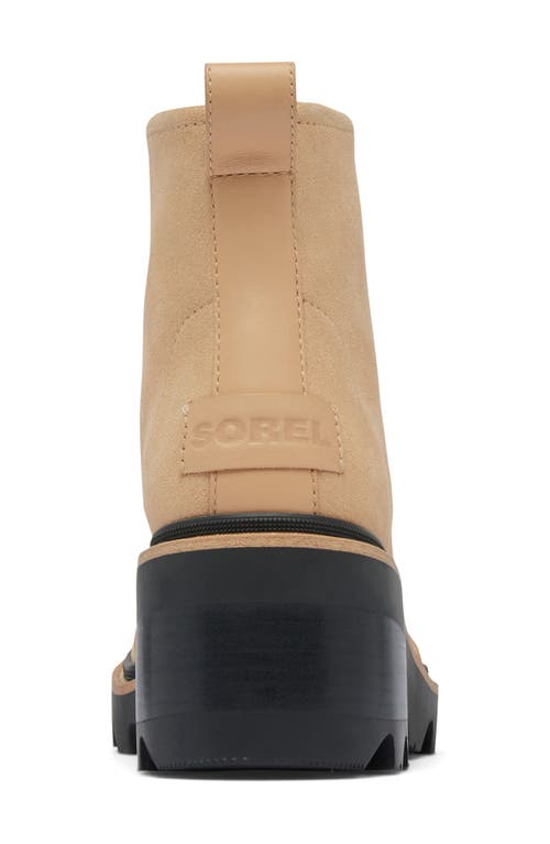 Shop Sorel Joan Now Bootie In Canoe/black