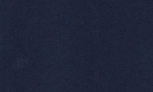 Joe's Eyelet Ruffle Long Sleeve Top In Navy