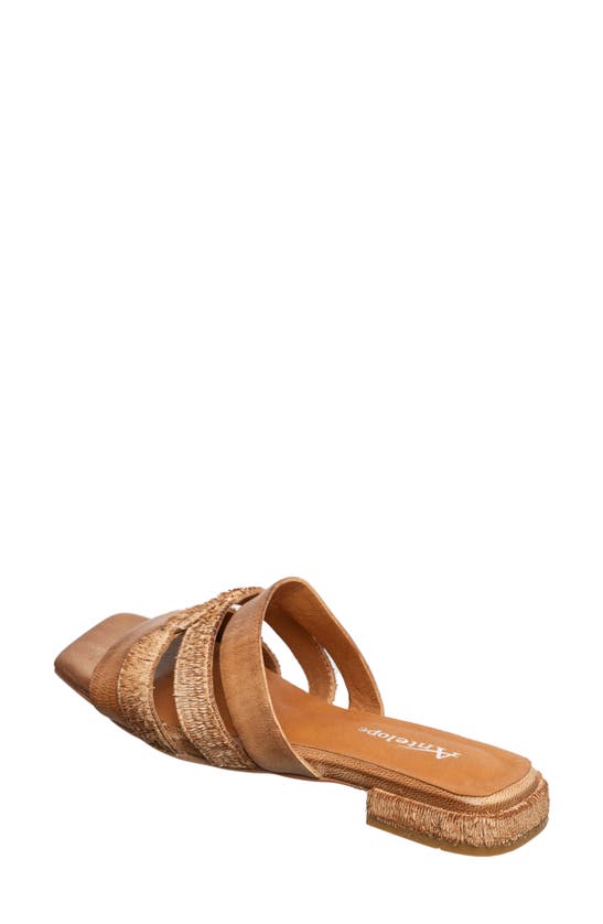 Shop Antelope Adalyn Slide Sandal In Taupe Leather