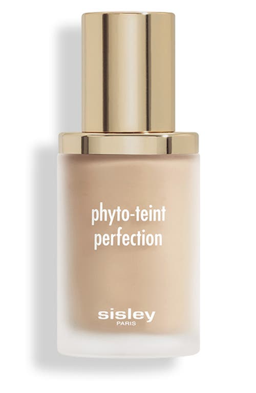 Sisley Paris Phyto-Teint Perfection Foundation in 2N1 Sand at Nordstrom, Size 1 Oz