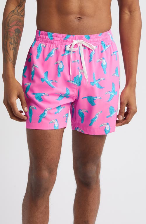 Chubbies Classic Lined 5.5-inch Swim Trunks In Pink