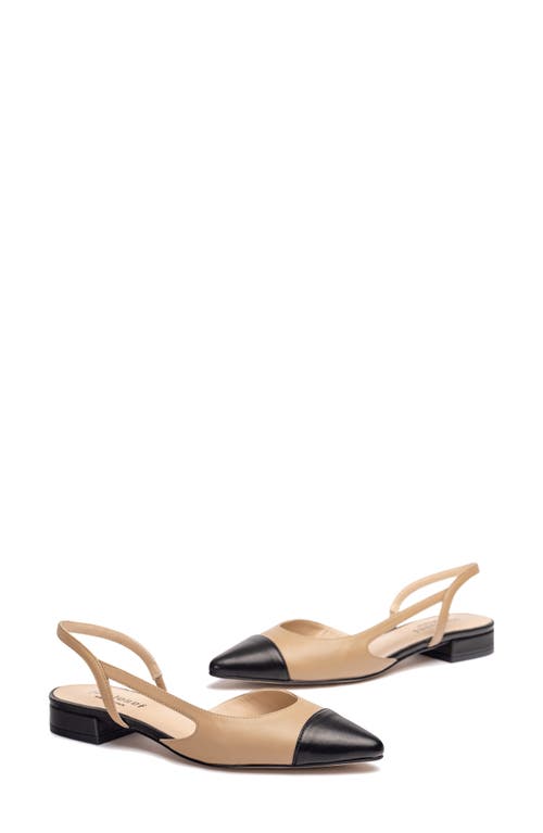 Shop Jon Josef Rio Slingback Pointy Cap Toe Flat In Black/tan Combo