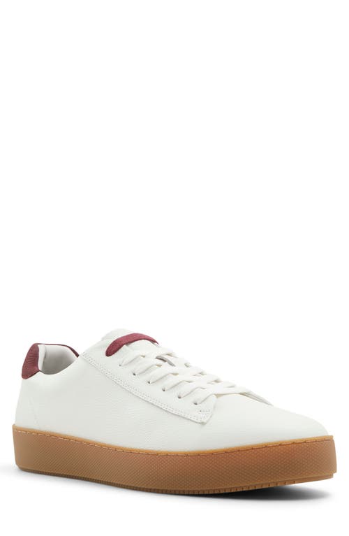 TED BAKER TED BAKER WESTWOOD SNEAKER 