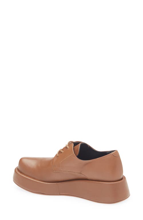 Paloma Barceló Paloma Barcelo Alex Iris Wedge Platform Derby In Cuoio