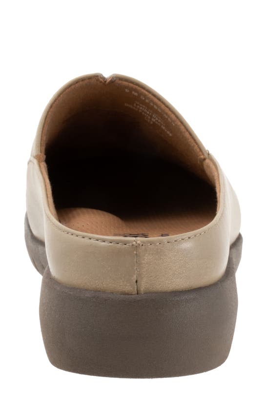 Shop Softwalk ® San Marcos Tooling Mule In Stone