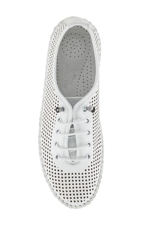 Shop Spring Step Eastwood Platform Sneaker In White