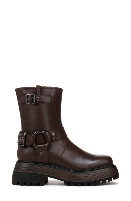 Shop Circus Ny By Sam Edelman Hadley Platform Boot In Dark Chocolate