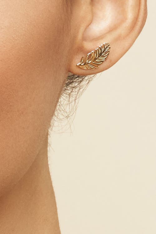 Oradina 10k Gold Fine As A Feather Studs Earrings In Yellow Gold