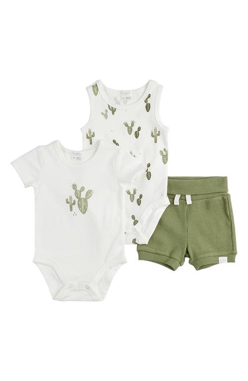 Petit Lem Cactus Print Short Sleeve Bodysuit, Sleeveless Bodysuit & Shorts Gift Set Off White at Nordstrom,