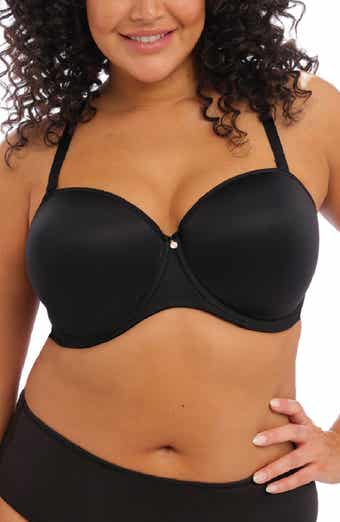 Elomi Morgan Underwire Banded Full Cup Bra in Carnival (CAV) FINAL SALE  NORMALLY $66 - Busted Bra Shop