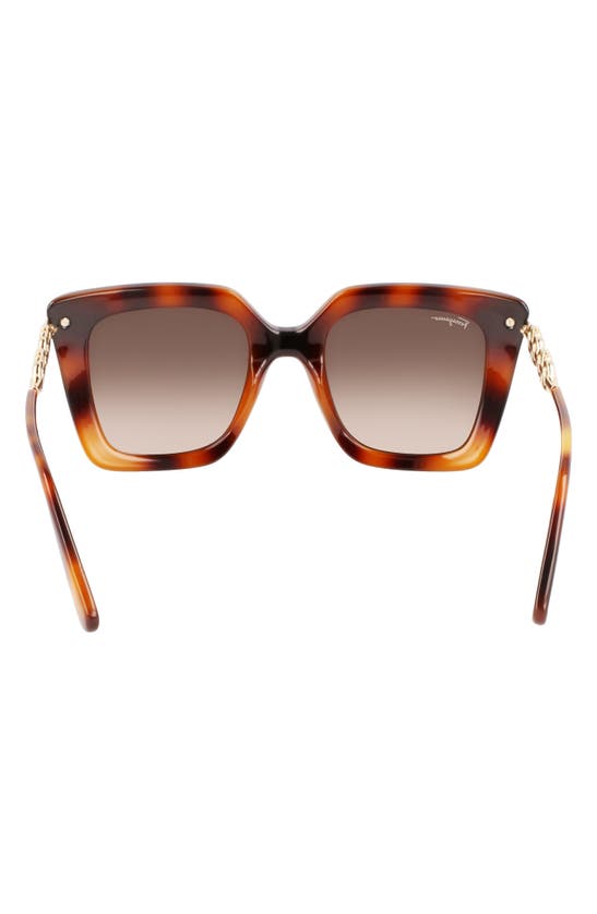 Ferragamo Gancini Chain Square Acetate & Metal Sunglasses In Classic Havana