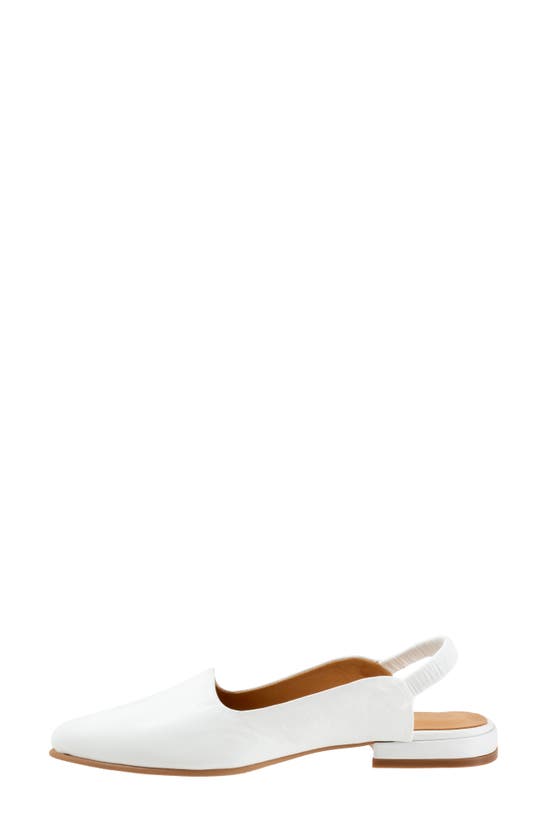 Shop Bueno Indie Slingback Pointed Toe Flat In White