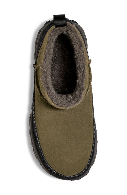 Shop Ugg(r) Venture Daze Ultra Mini Boot In Burnt Olive/charcoal