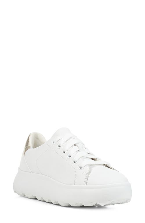Geox Spherica Sneaker In White/gold