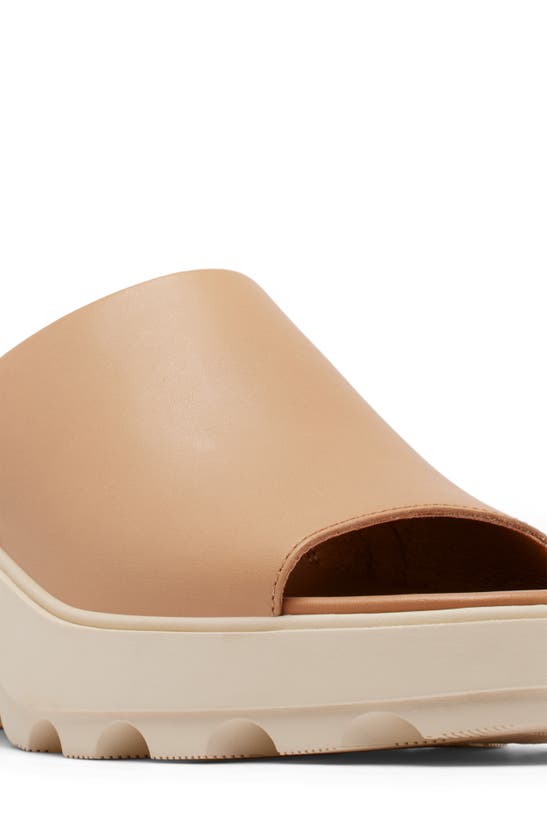 Shop Sorel Joanie Platform Slide Sandal In Honest Beige/ Bleached Ceramic