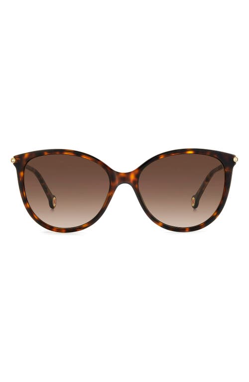 Carolina Herrera 57mm Round Sunglasses in Havana Gold at Nordstrom