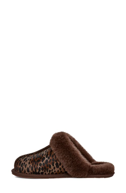 Shop Ugg(r) Scuffette Genuine Calf Hair Slipper In Burnt Cedar