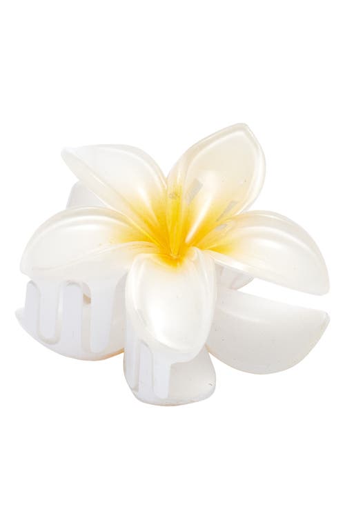 BP. Plumeria Claw Clip in White at Nordstrom