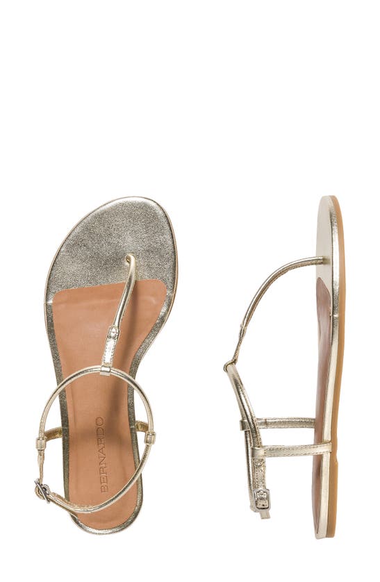 Shop Bernardo Footwear Haven Sandal In Champagne