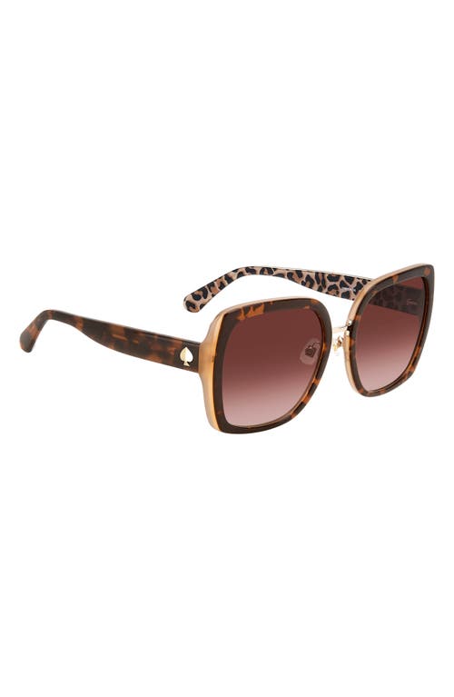 Shop Kate Spade New York Kimber 56mm Gradient Square Sunglasses In Havana/brown Gradient