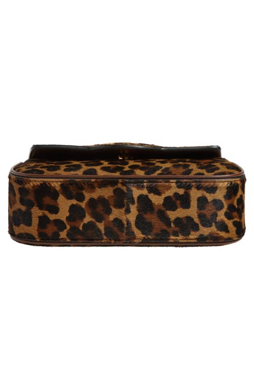 Shop Versace Mini La Medusa Leopard Print Genuine Calf Hair Top Handle Bag In Brown Moka- Gold