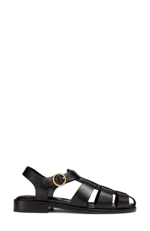 Shop G.h.bass Fisherman Sandal In Black