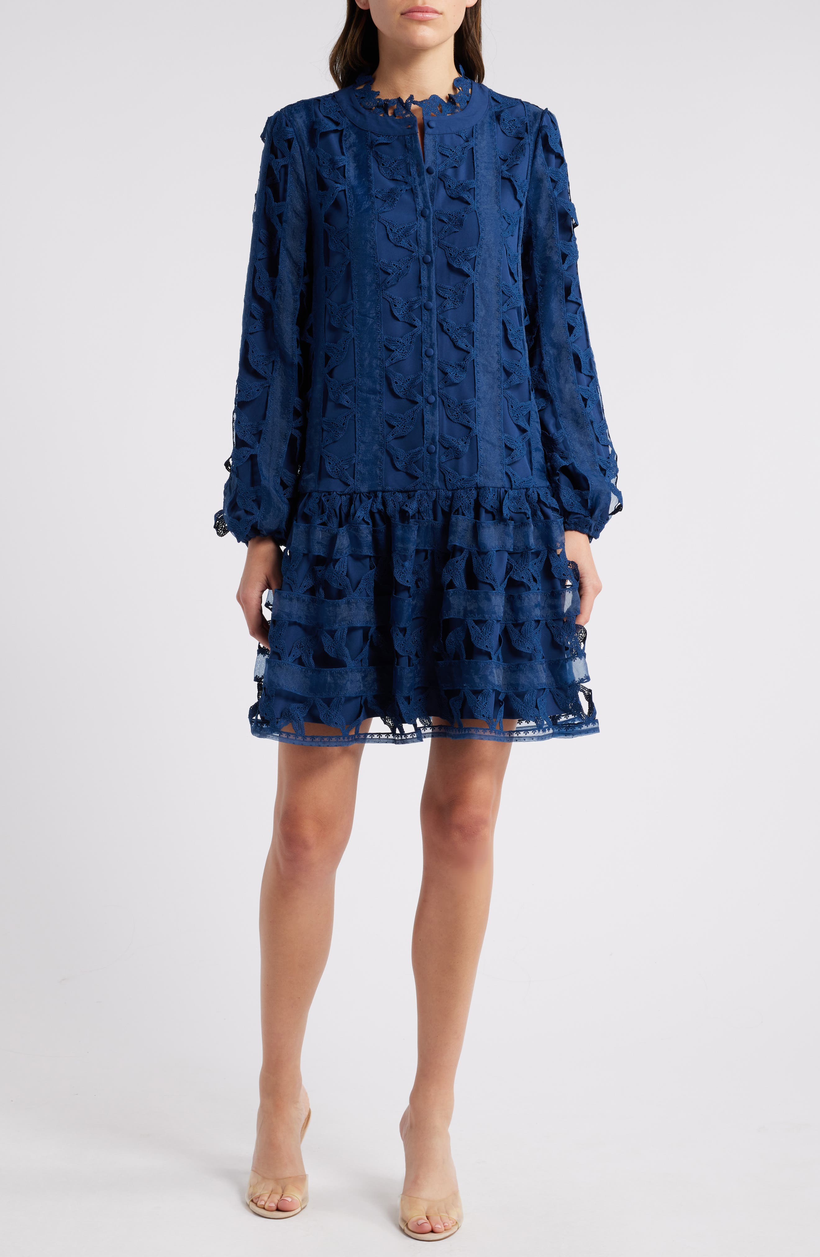 CIEBON Wylla Humbird Lace & Organza Drop Waist Dress | Nordstrom